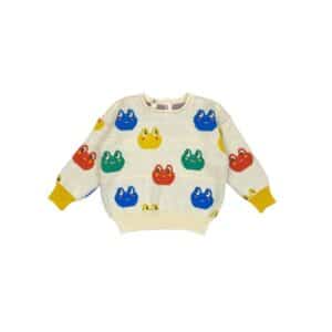 Bayiri sweater knit rainbow frogs